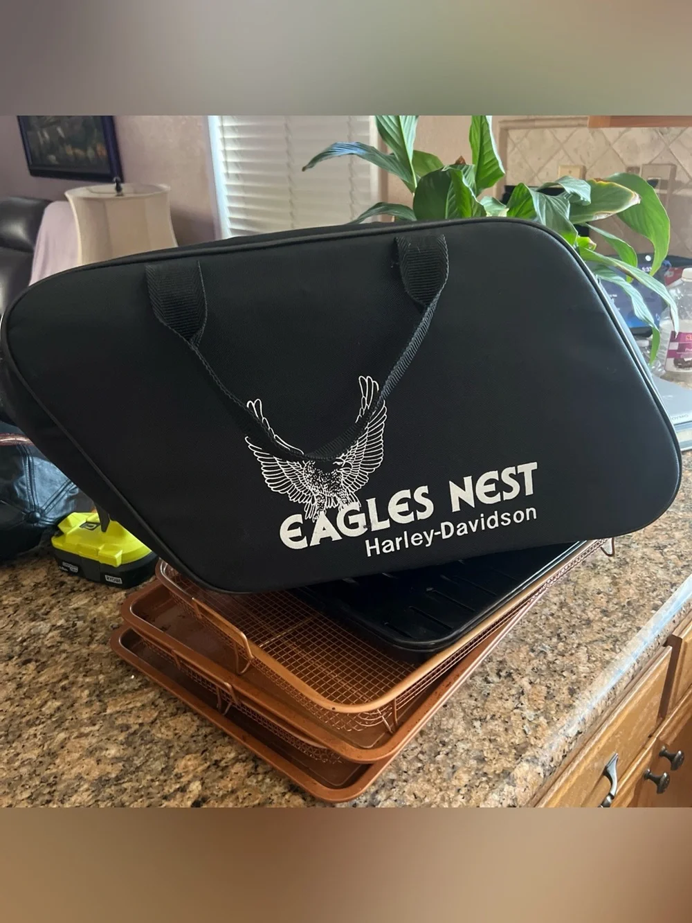 HARLEY DAVIDSON VINTAGE EAGLES NEST SADDLE BAG CARRIER CASE TRAVEL-PAK NOS